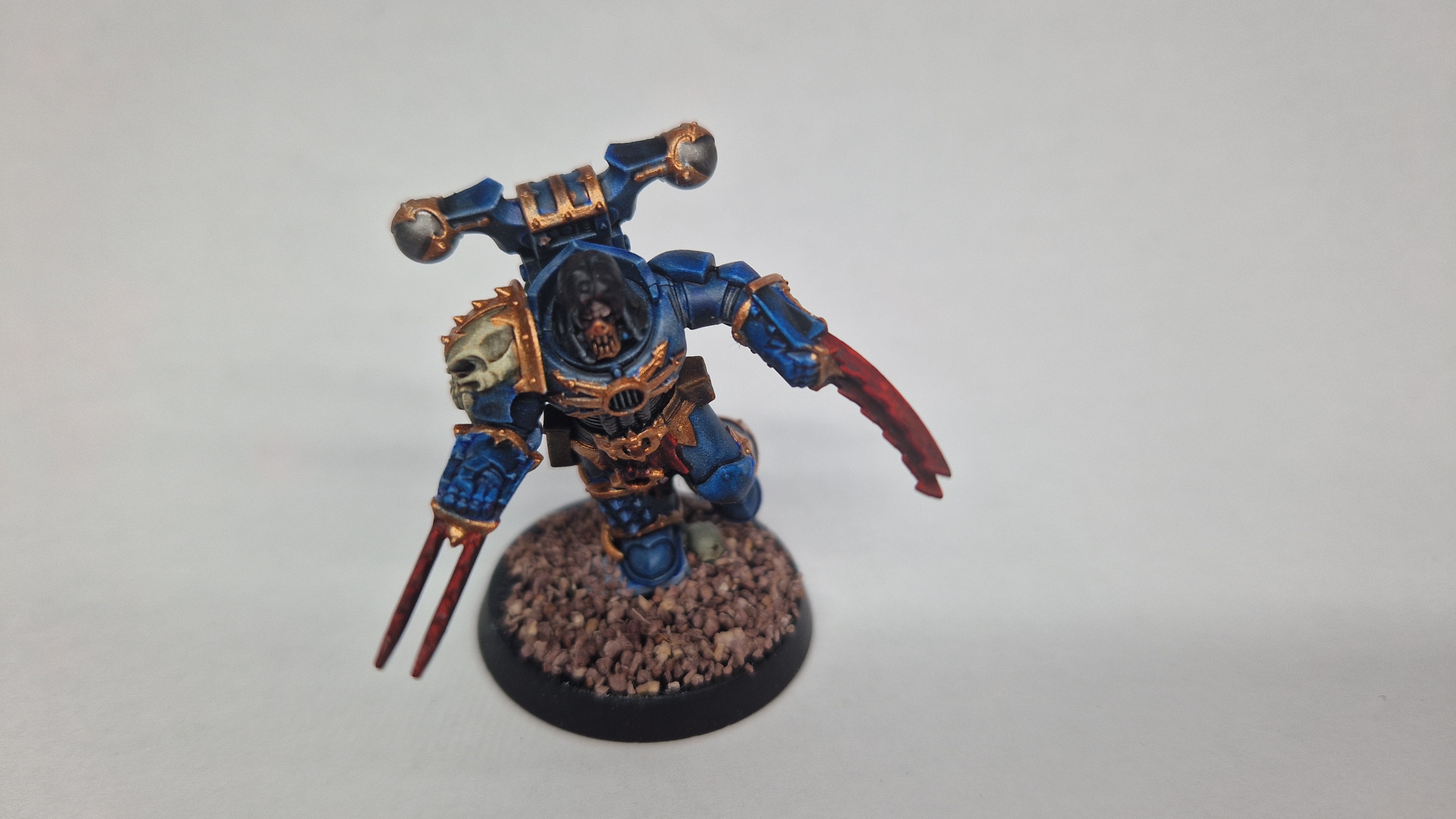 Screecher rear